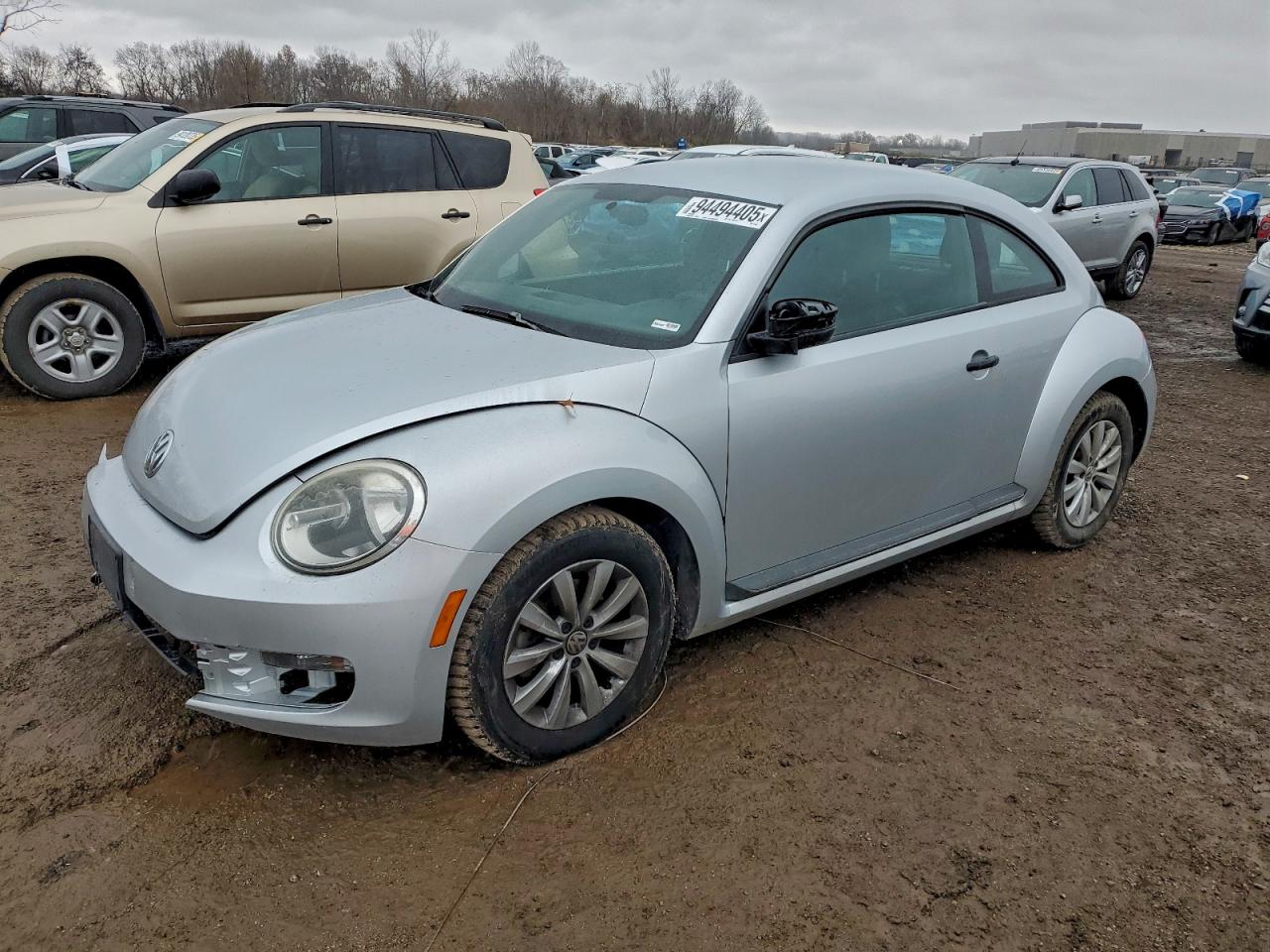 Volkswagen Beetle Image 1