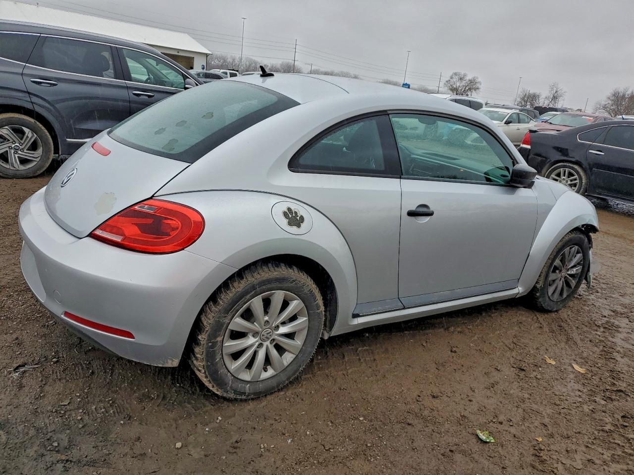 Volkswagen Beetle Image 10