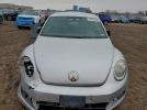 Volkswagen Beetle Image 12