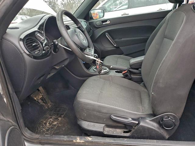 Volkswagen Beetle Image 6