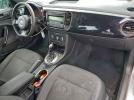 Volkswagen Beetle Image 8