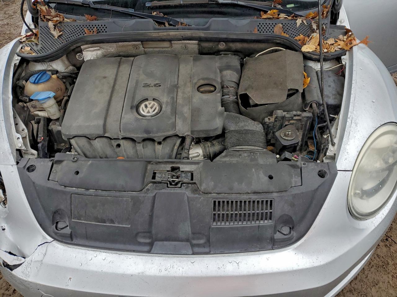 Volkswagen Beetle Image 7