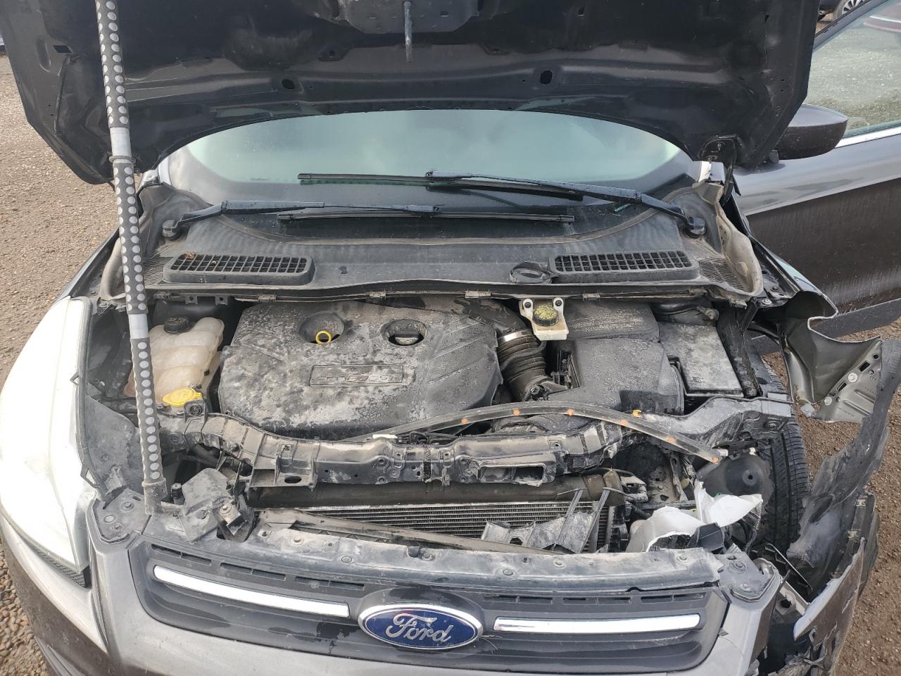 Ford Escape Se Image 2