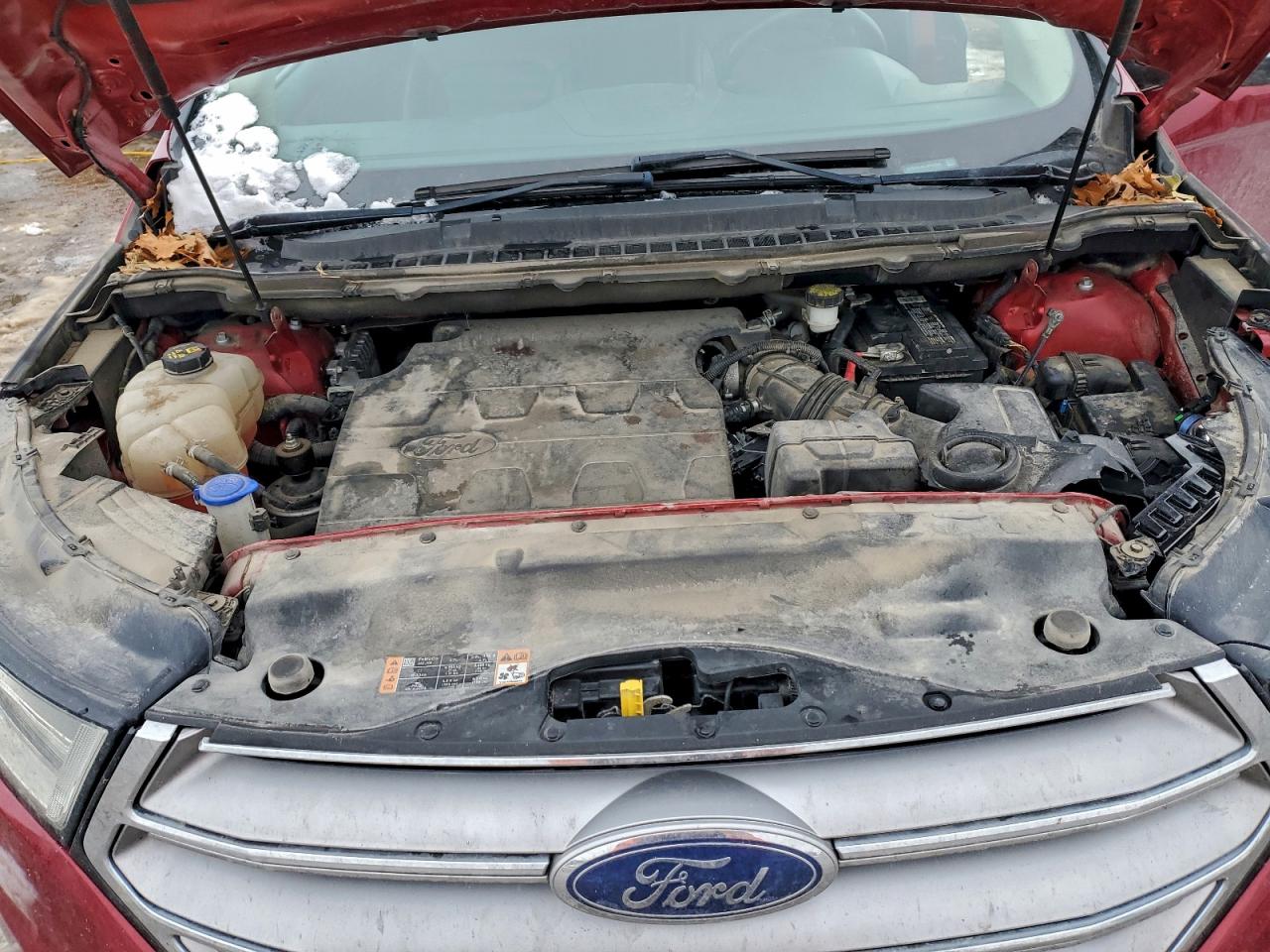 Ford Edge Sel Image 7