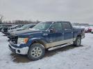 Ford F-150 Supercrew Image 1