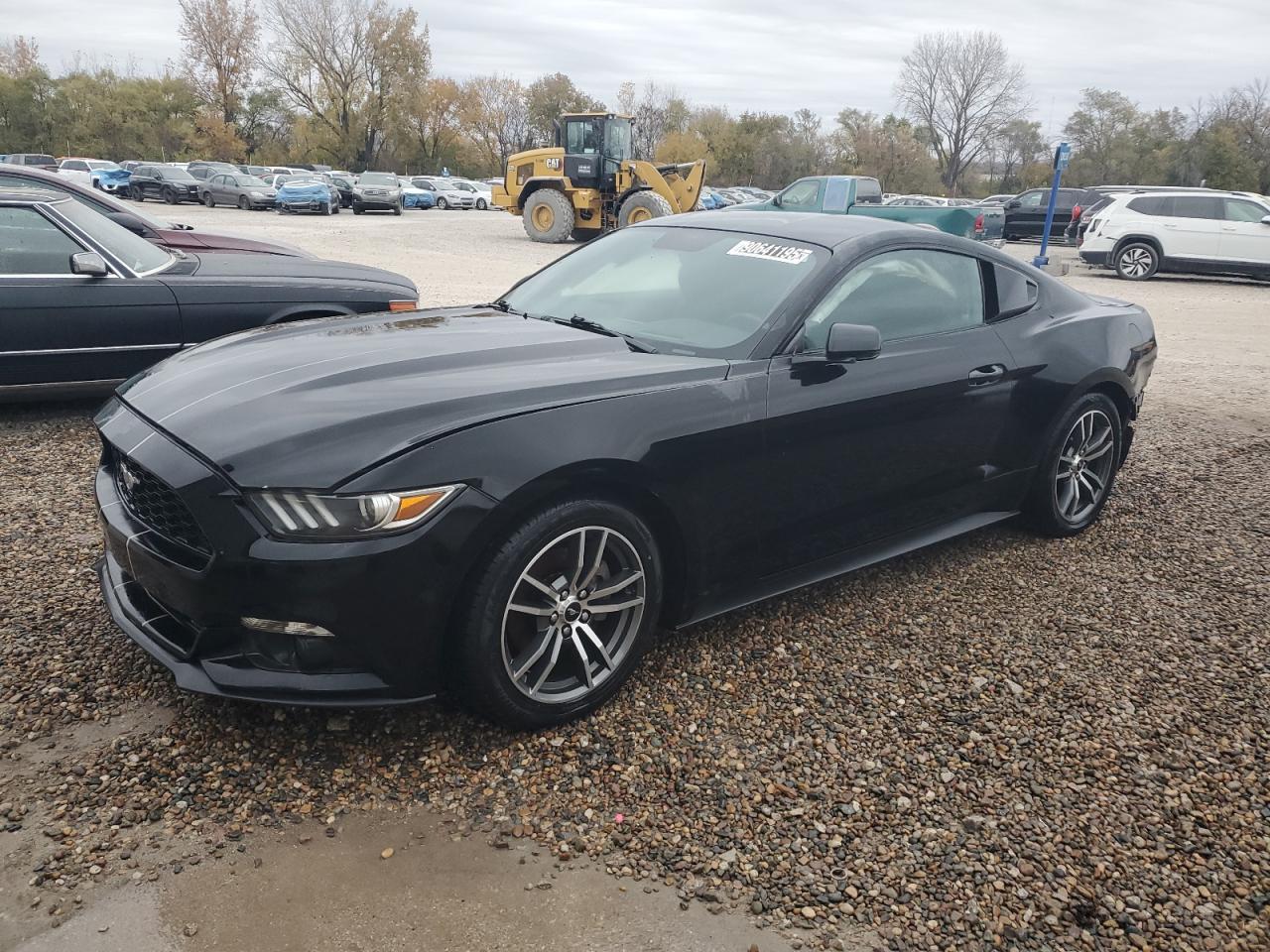 Ford Mustang Image 1