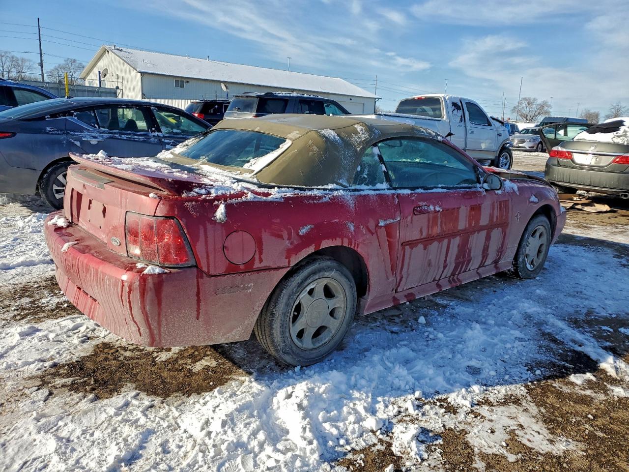 Ford Mustang Image 4