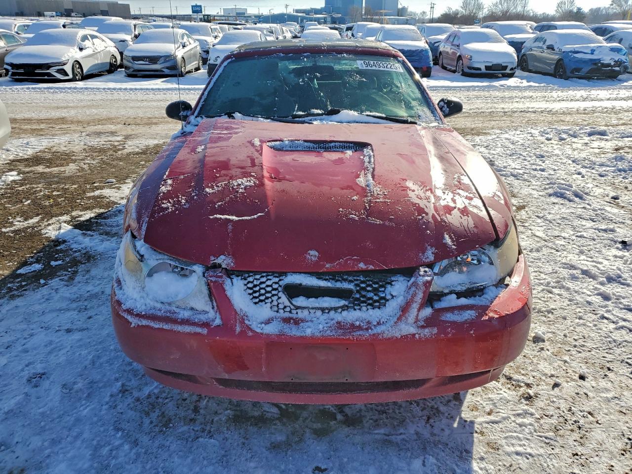 Ford Mustang Image 3