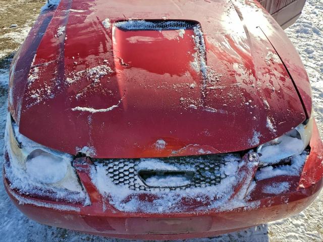 Ford Mustang Image 8