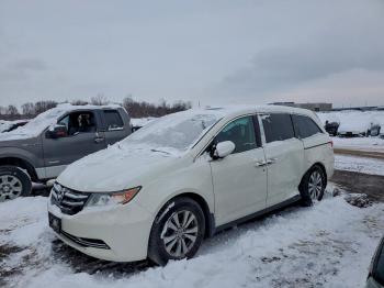  Salvage Honda Odyssey