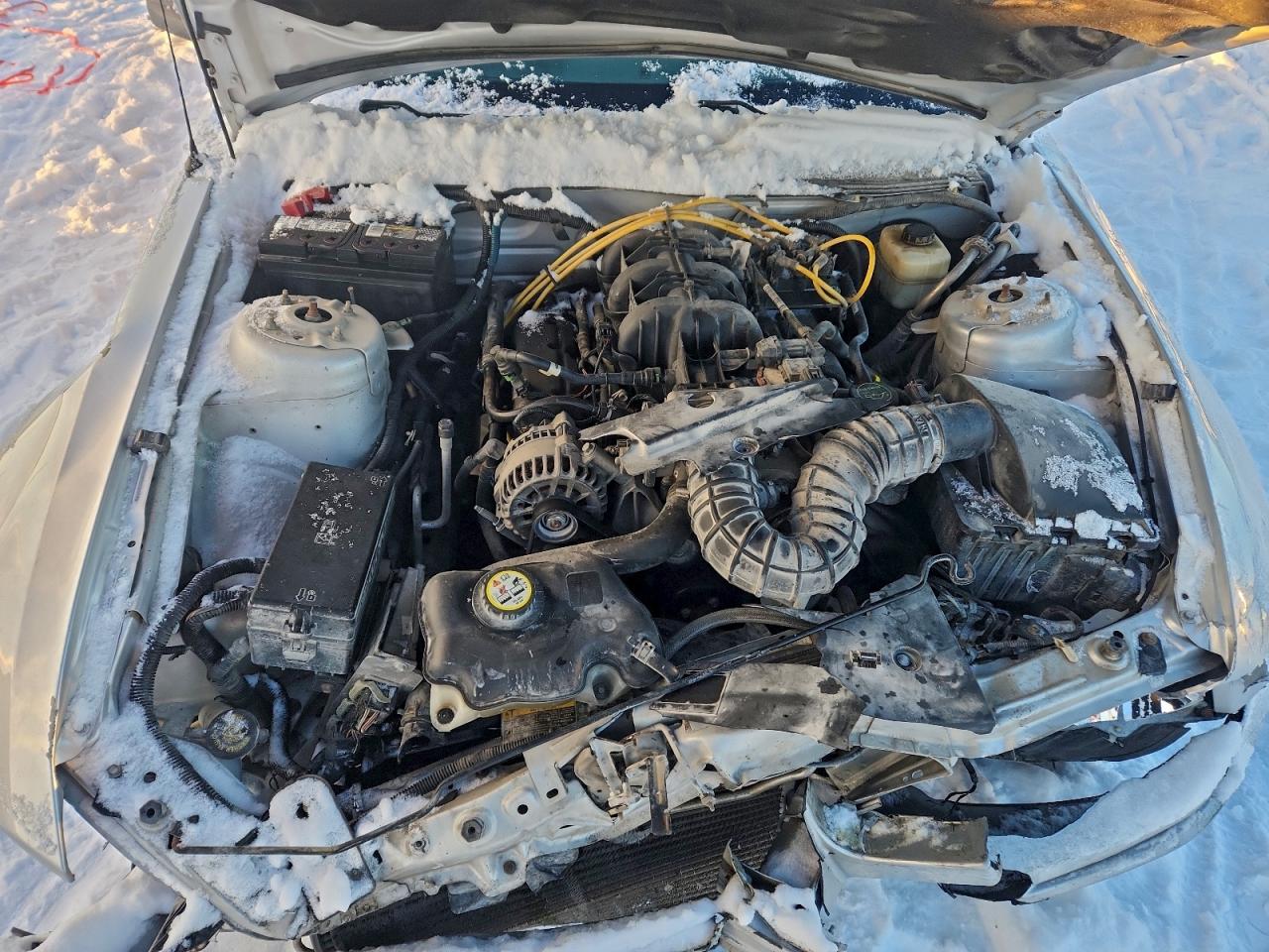 Ford Mustang Image 13