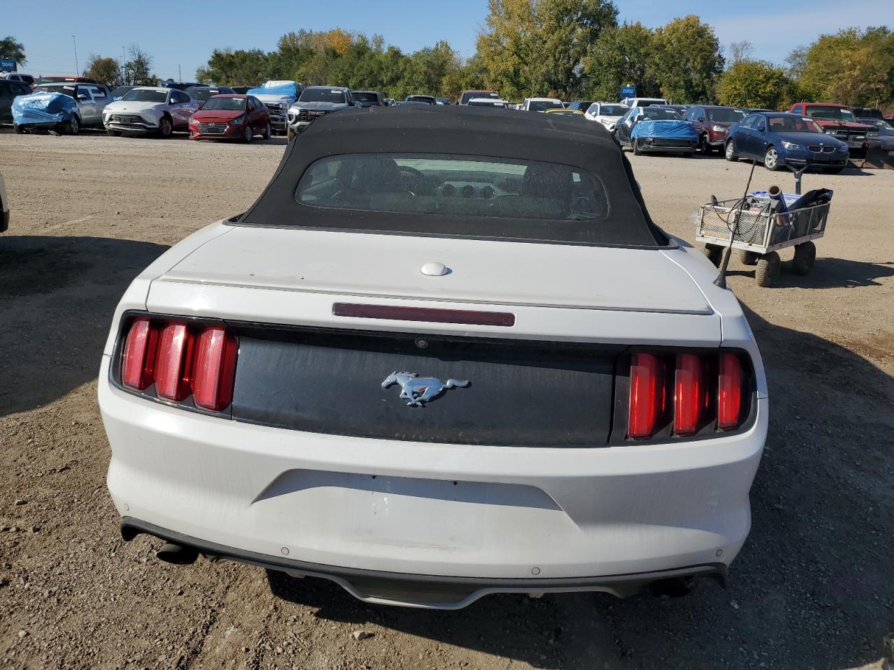 Ford Mustang Image 10