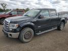 Ford F-150 Supercrew Image 1