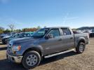Ford F-150 Supercrew Image 1