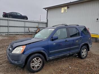  Salvage Honda Crv