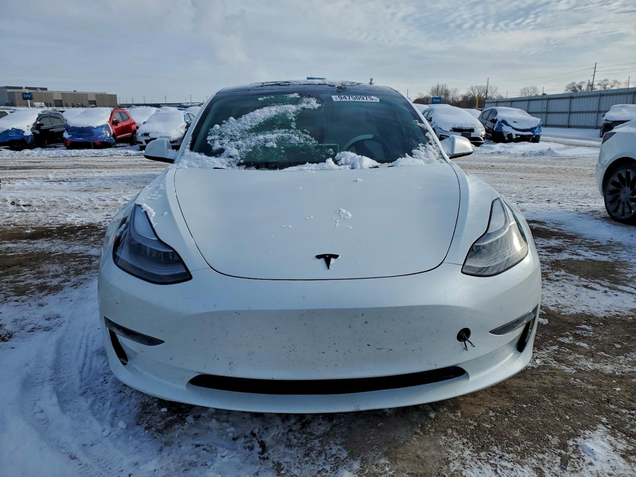 Tesla Model 3 Image 5