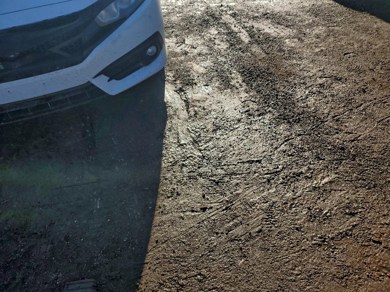 Honda Civic Ex Image 6