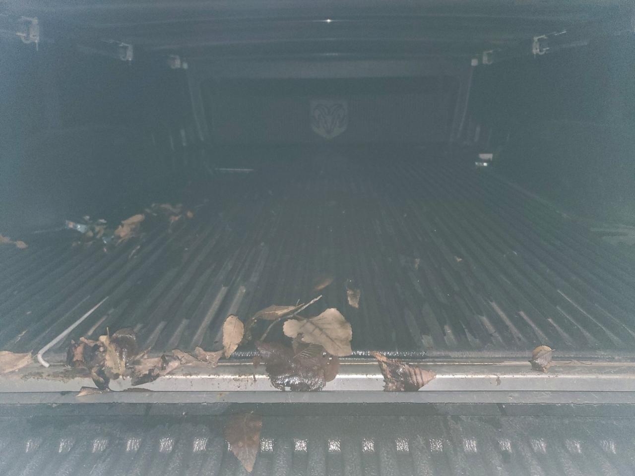 Dodge Ram 1500 St Image 3